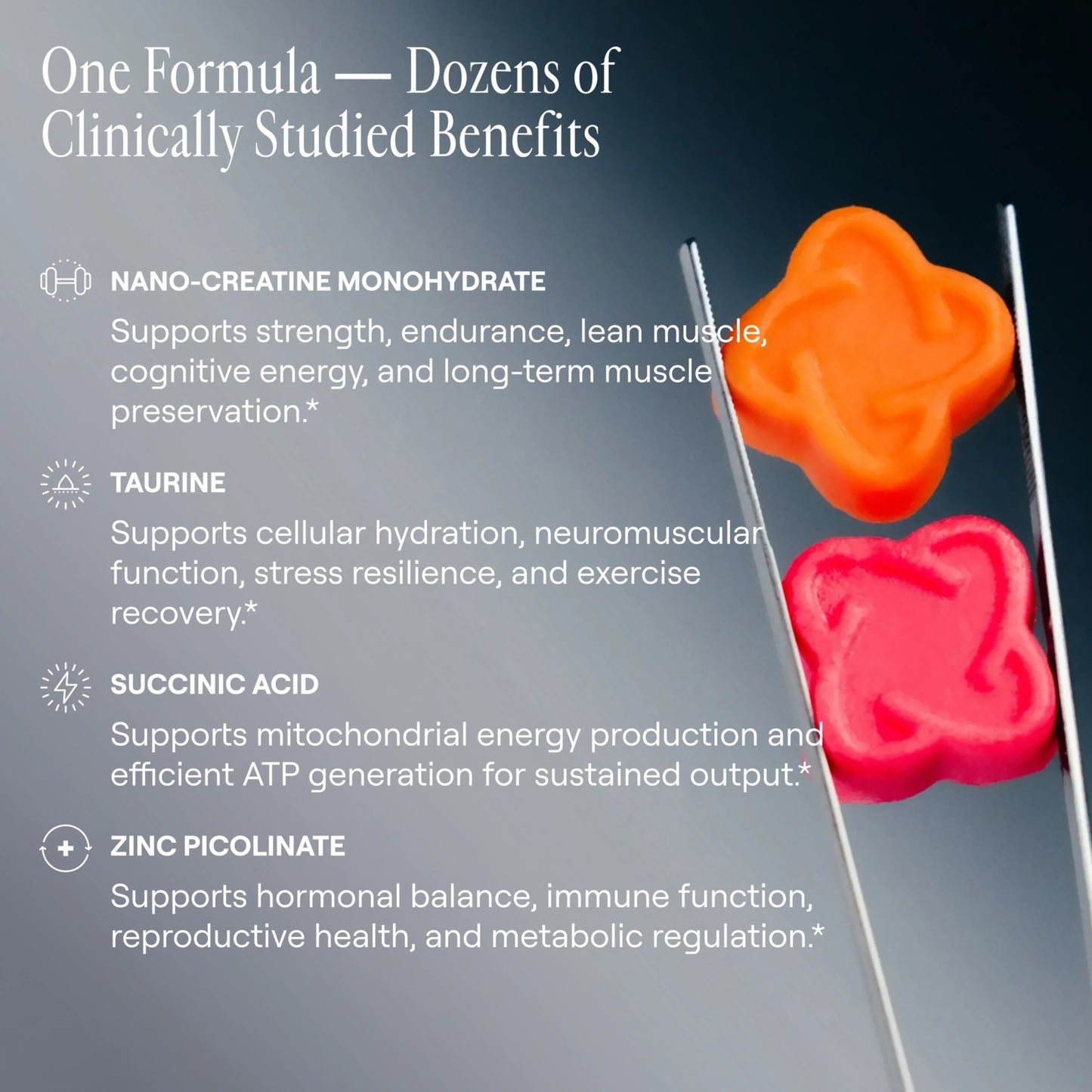 Arq8™ 肌酸一水化合物软糖