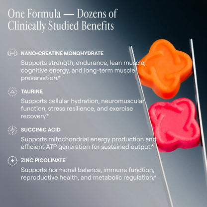 Arq8™ 肌酸一水化合物软糖